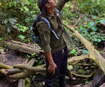 Jungle Trek including stay Batu Ridi Jungle