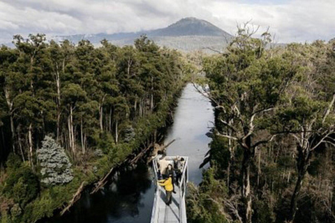 Hobart: Tahune Airwalk and Hastings Caves Day Trip