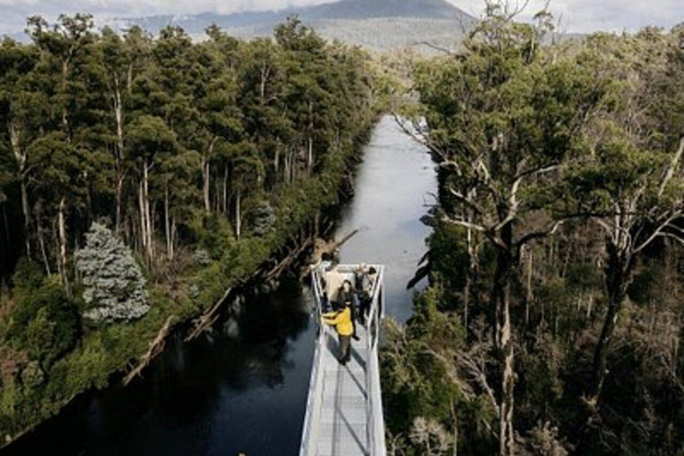 Hobart: Tahune Airwalk and Hastings Caves Day Trip