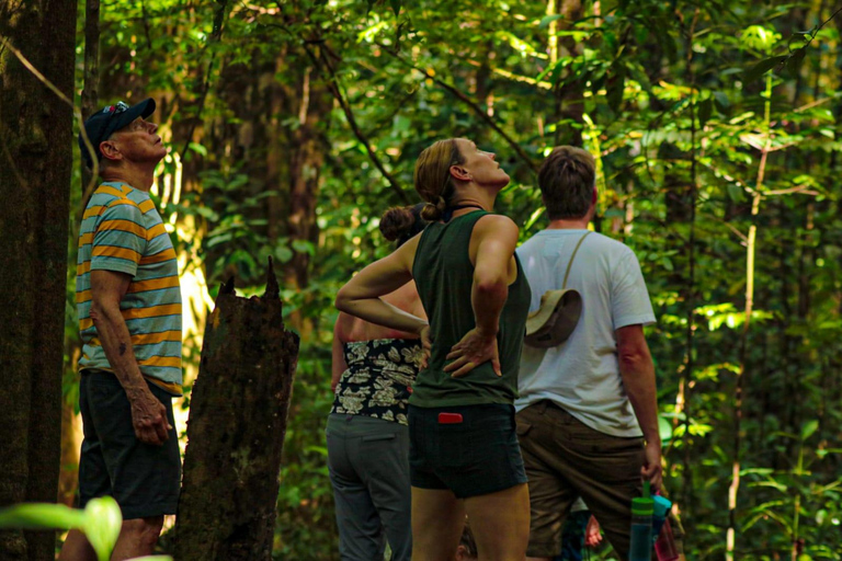 Uvita: Corcovado Rainforest & Wildlife Adventure