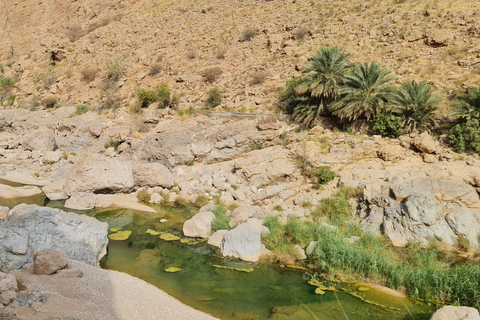 From Muscat: Wadi Al Arbieen Adventure, Sinkhole, Fins Beach