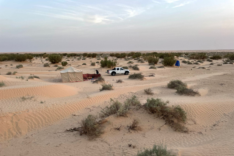 Eine Übernachtung in der Sahara (Privat)