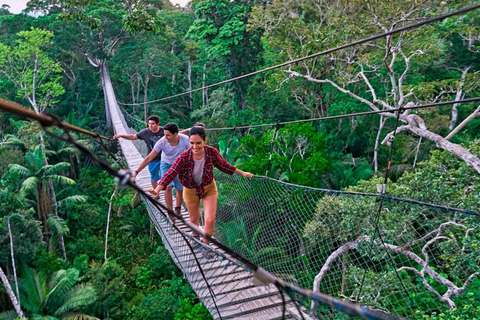 De Cusco : circuit de 3 jours en Amazonie péruvienne avec bus couchette et lodge