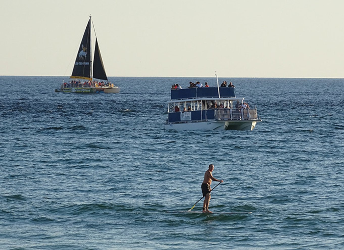 Panama City: Delfincruise ved solnedgang i St. Andrews Bay