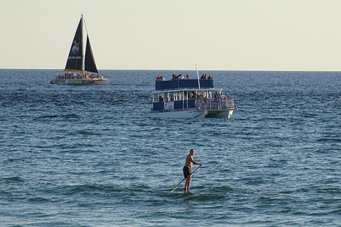 Panama City: Sunset Dolphin Cruise in St. Andrews Bay