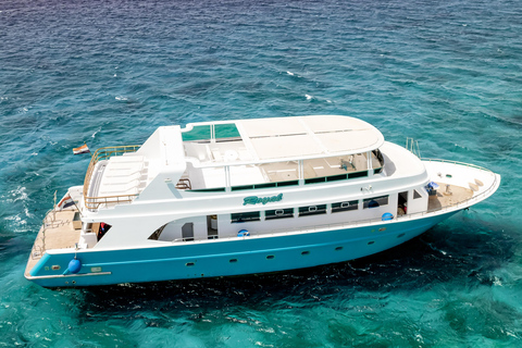 Hurghada: All-Inclusive Elite VIP Dolphin House & Massage Including Transfer from Hurghada