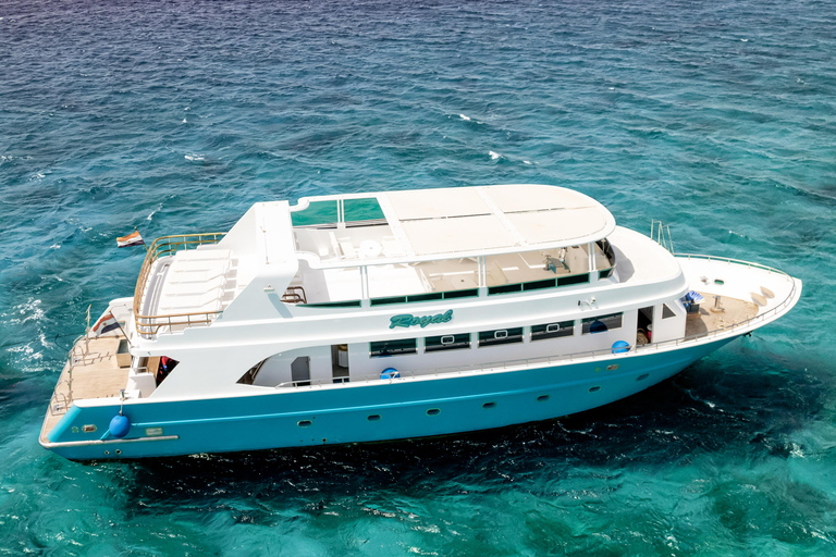 Hurghada: All-Inclusive Elite VIP Dolphin House & Massage Including Transfer from Hurghada