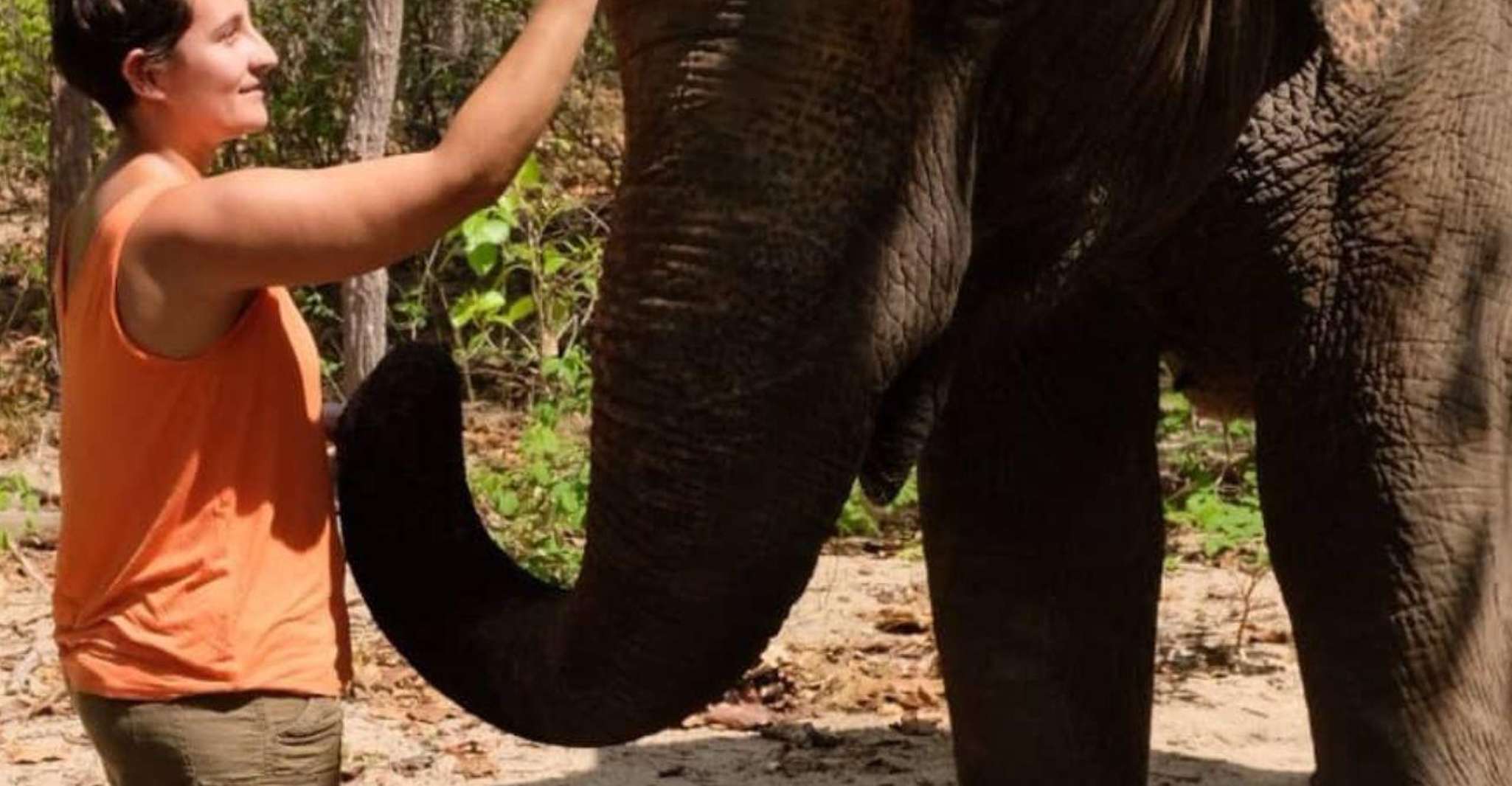 Phnom Tamao Wildlife Center, Buddha Kiri Cambogia Day Tour - Hizvo