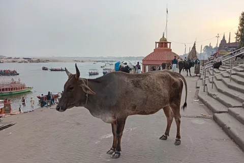 Varanasi: Walking Tour, Sunset Boat Tour,Ganga Aarti Tour