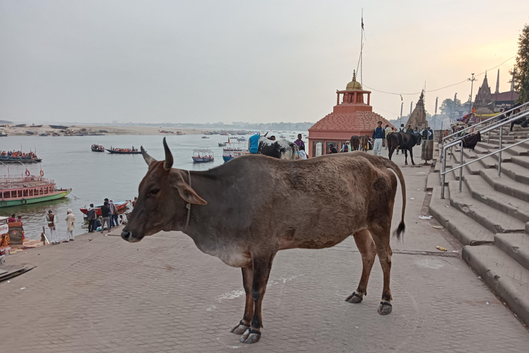 Varanasi: Guidad stadsvandring med Chai