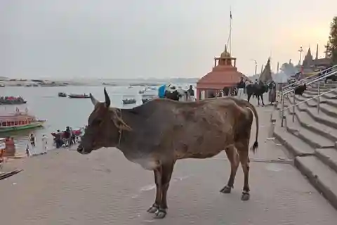 Varanasi: Walking Tour, Sunset Boat Tour,Ganga Aarti Tour