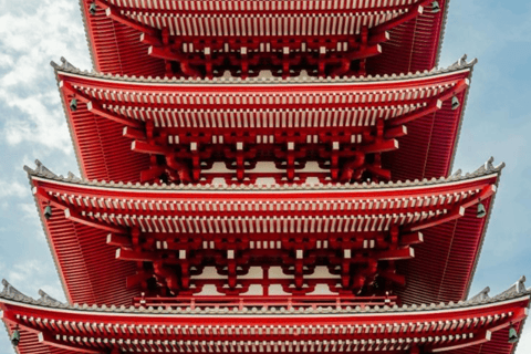 Tokyo Full Day Customizable Private Tour with English Guide