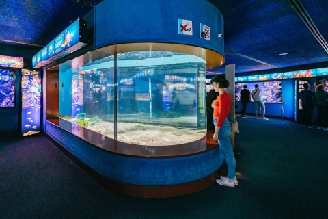 Barcelone : bus à arrêts multiples et visite de l'aquariumBarcelone : bus à arrêts multiples 2j et aquarium