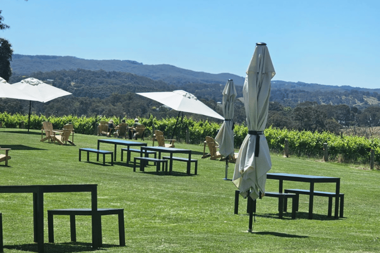 Från Adelaide: Hahndorf och Barossa Valley med vingårdslunch