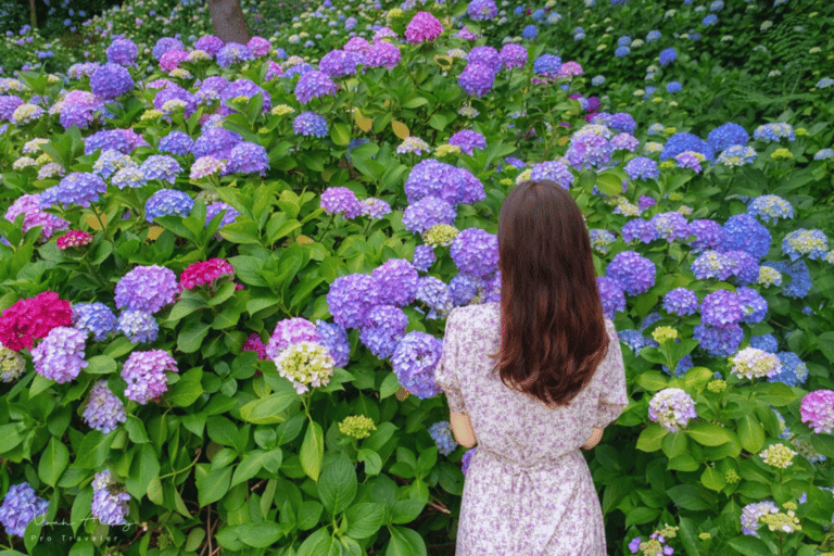 Busan: Taejongdae, crucero aéreo, pueblo y playa de GamcheonExcursión en grupo, encuentro en la estación de Seomyeon