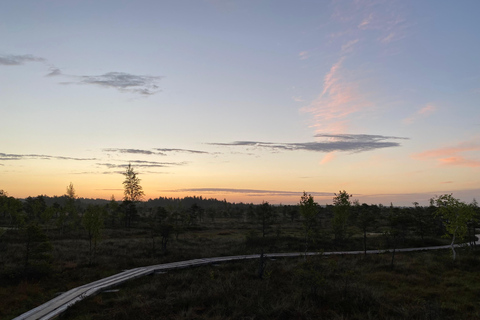 Vanuit Riga: Trip naar Nationaal Park Kemeri & Jurmala