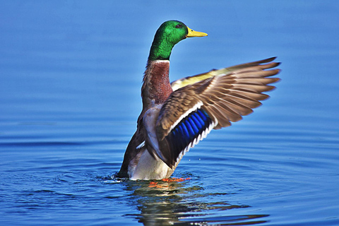 Lychen: Nature Experience Boat Cruise