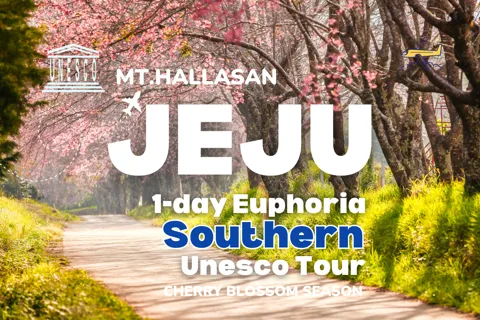 Jeju Island: Southern Top UNESCO Spots Tour