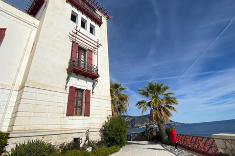 Nice: tour of three iconic villas in saint-jean-cap-ferrat