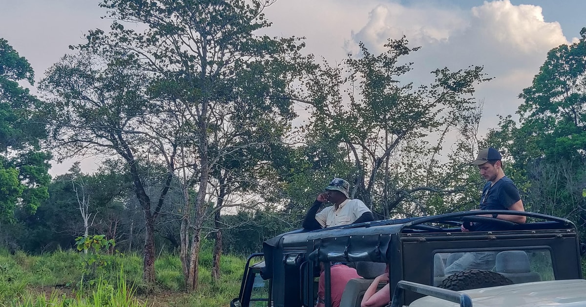 Hikkaduwa Safari Dans Le Parc National De Yala Avec Prise En Charge