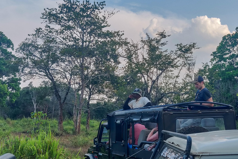 Safari dans le parc national de Yala au départ d&#039;Ella