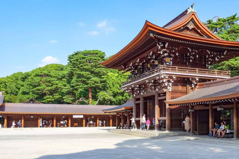 Tour panoramico privato di Tokyo con autista parlante inglese