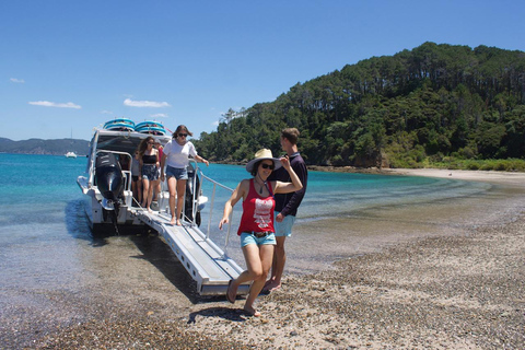 Paihia/Russell: Hole in the Rock &amp; Bay of Islands CruiseHole in the Rock Tour &amp; Twin Lagoons Stopover // 3hrs