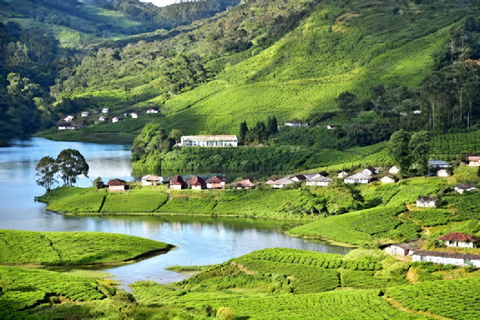 From Cochin: 8-Day Private Kerala Tour with Houseboat Stay Tour Without Accommodation
