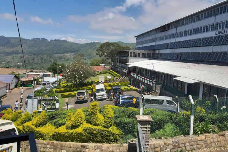 Lipton&#039;s Seat, Adisham Bungalow, excursão à fábrica de chá DambetennaDe Ella: Duas noites e três dias - Tour totalmente particular