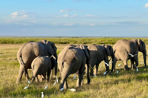 3 dagars perfekt blandning av vildmark i Masai Mara-reservatet