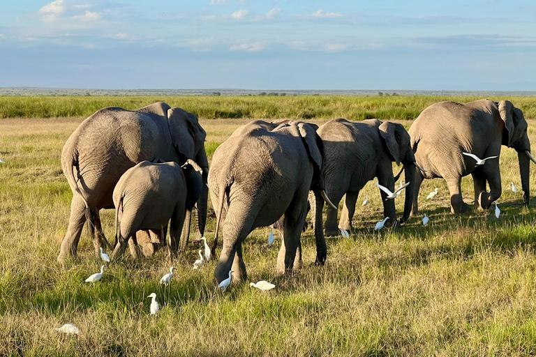3 dagars perfekt blandning av vildmark i Masai Mara-reservatet