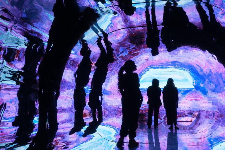 Scottsdale: Biglietto d&#039;ingresso generale per il Wonderspaces Arizona