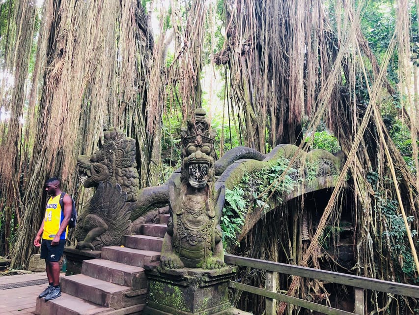 Vive Ubud De Artesan A Terrazas De Arroz Cascada De La Selva