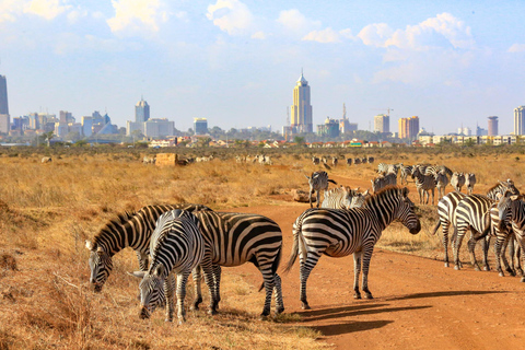 Nairobi National Park-David Sheldrick-Giraffe-Karen Blixen