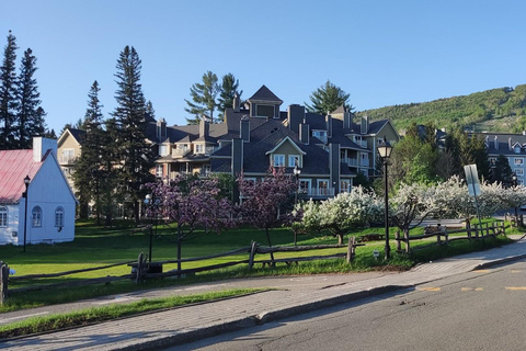 Traslado privado al aeropuerto de Montreal YUL desde Mont-Tremblant