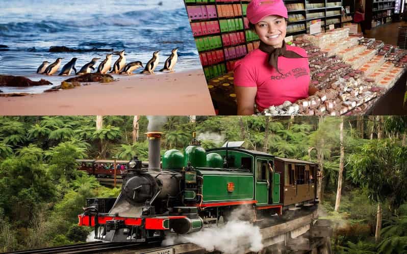 Puffing Billy Penguin Parade Winery Chocolaterie All-in-One