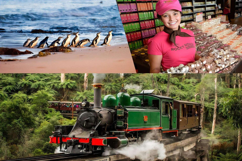 Puffing Billy Penguin Parade Winery Chocolaterie All-in-One Option 1: Yarra Valley+Puffing Billy+Phillip Island