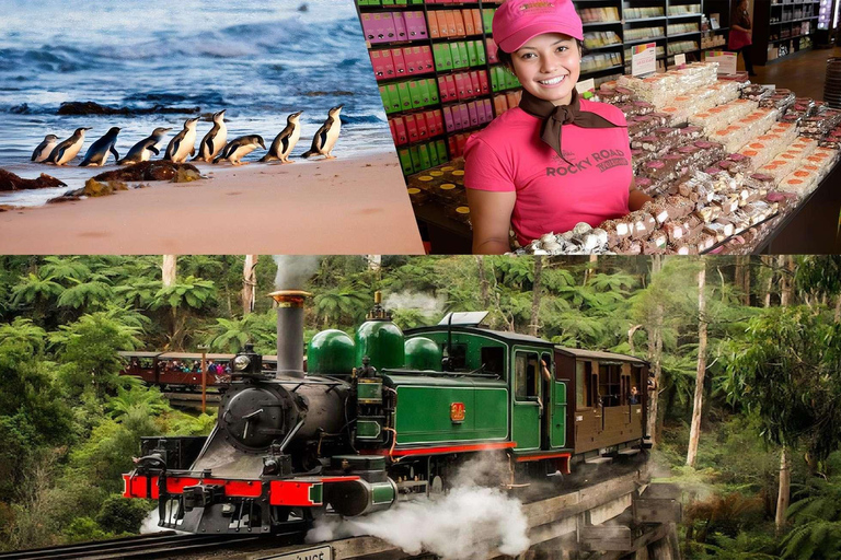 Puffing Billy Penguin Parade Winery Chocolaterie All-in-One Option 1: Yarra Valley+Puffing Billy+Phillip Island