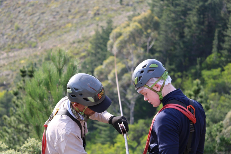 Cape Town: Zipline Adventures (Hotel Pickup &amp; Dropoff incl.)