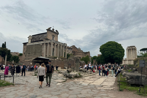 Rome: Colosseum Small-Group Tour Full Experience