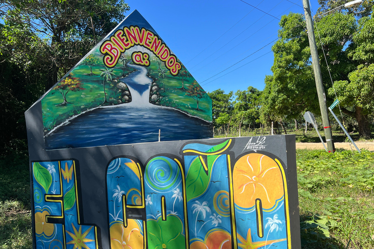 蓬塔卡纳：咖啡种植园、巧克力和甘蔗……