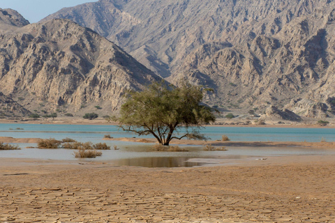 From Dubai: Jabel Jais High Mountain Tour with Transfers