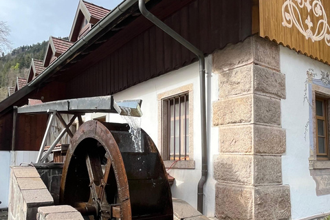 Vanuit Bazel: privé-excursie naar het Zwarte Woud, watervallen en meren