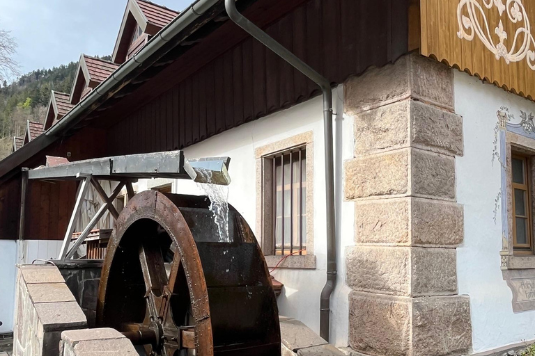 Vanuit Bazel: privé-excursie naar het Zwarte Woud, watervallen en meren