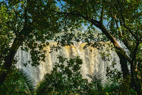 Chutes Victoria : Visite guidée des chutes Victoria