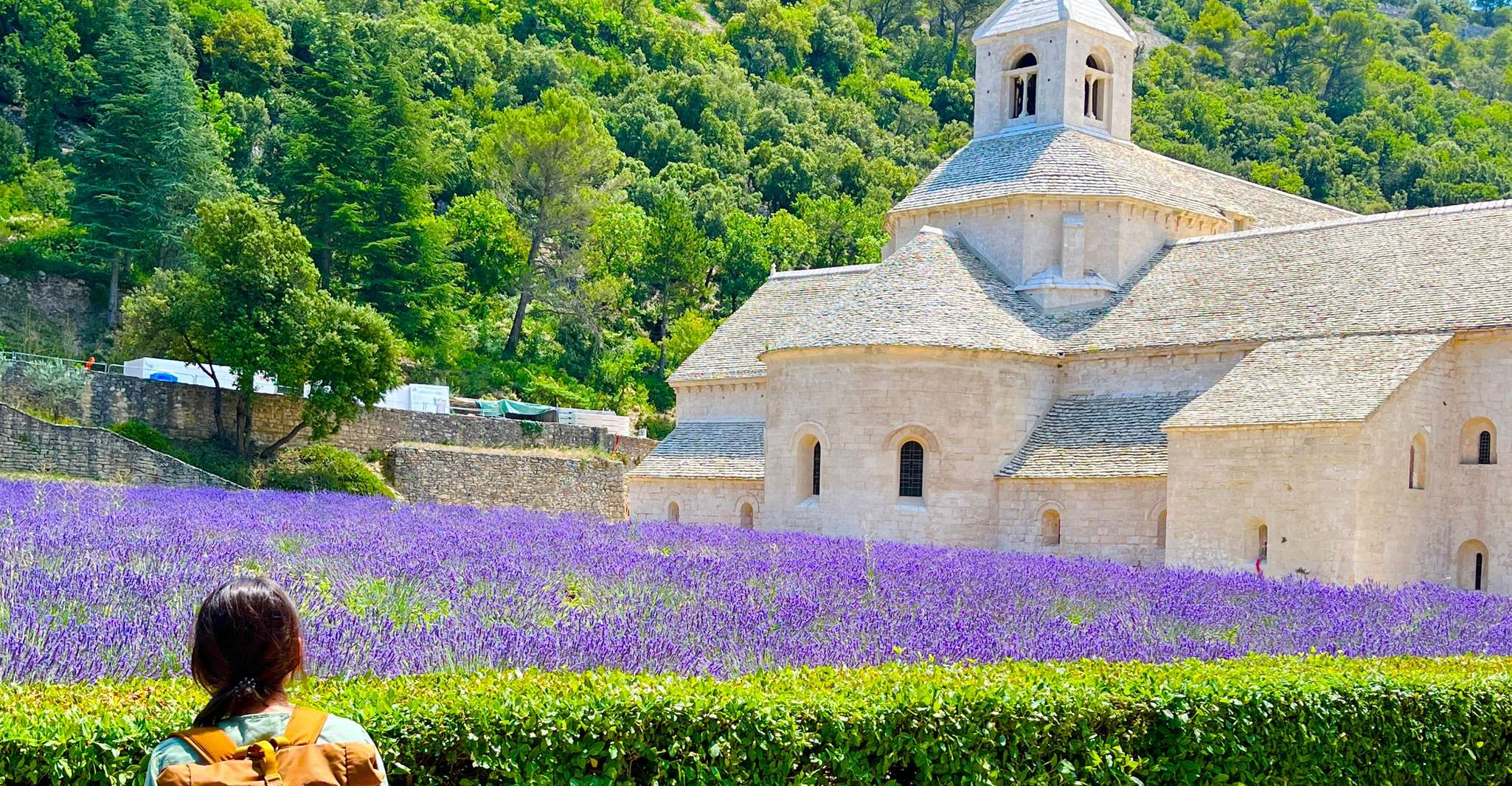 From Avignon, Lavender Tour in Valensole, Sault and Luberon - Housity