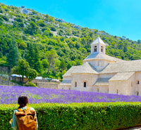 From Avignon, Lavender Tour in Valensole, Sault and Luberon - Housity