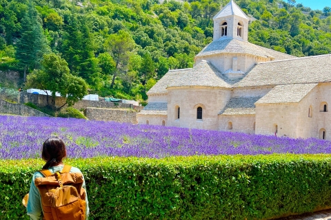 Ab Avignon: Lavendel-Tour in Valensole, Sault und LuberonAb Avignon: Halbtägige Lavendeltour in Sault und Luberon