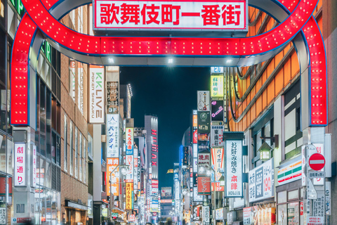 Tokyo: Crociera con cena con Shamisen e spettacolo di danza sulla Torre di Tokyo