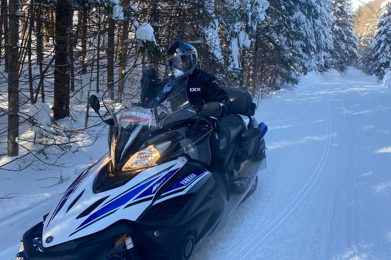 Montreal: Canadian Forest Guided Tour by Snowmobile Snowmobile for One Person